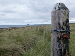 Iona_der_Weg