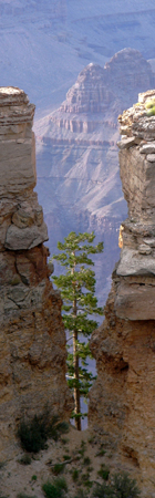 innovation_hoch_canyongap