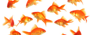 Triple Bottom Line – ESG Criteria